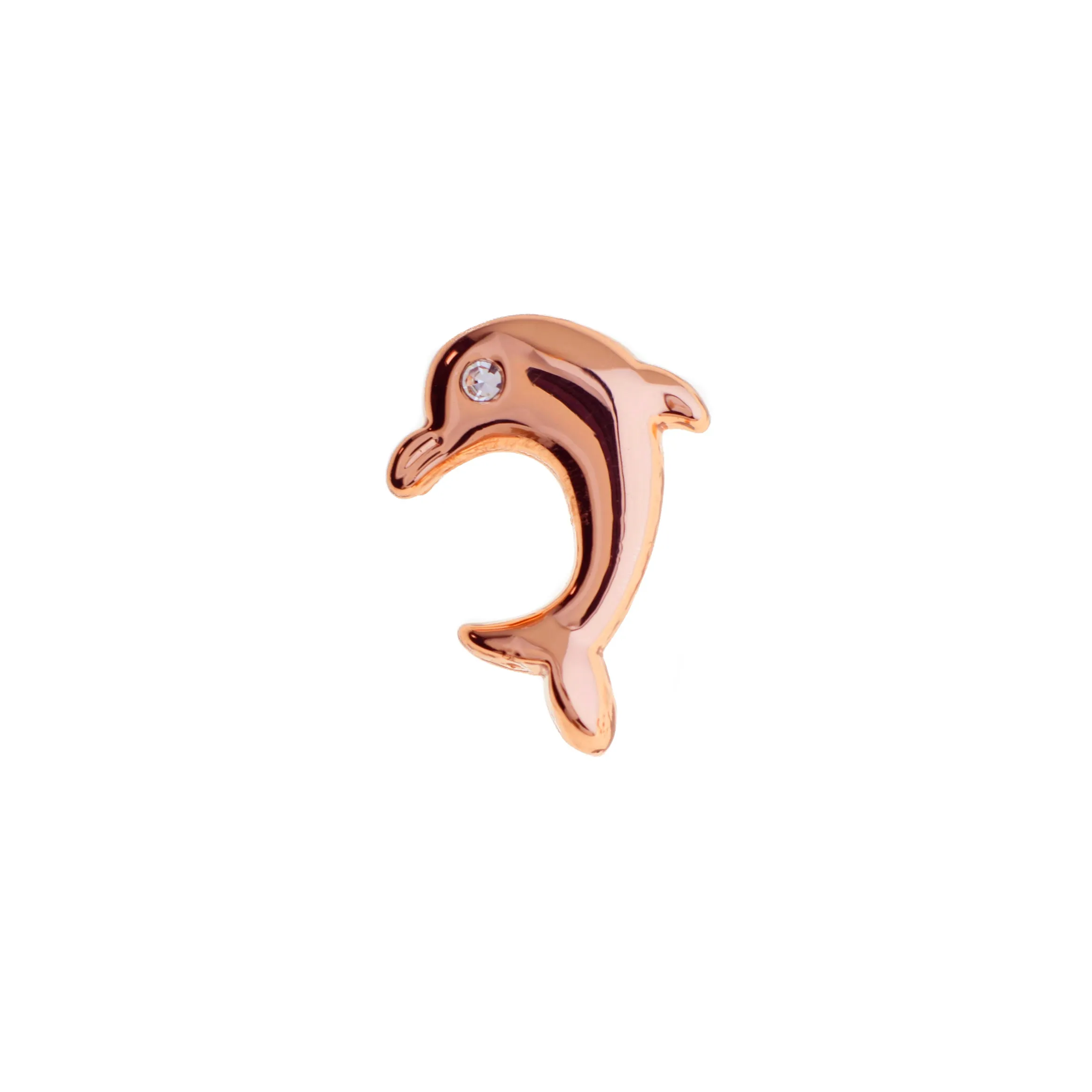 Buckle Up Silver Dolphin Charm