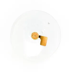 CKT-S-004 | Parabola Brooch | Camera Mechanism
