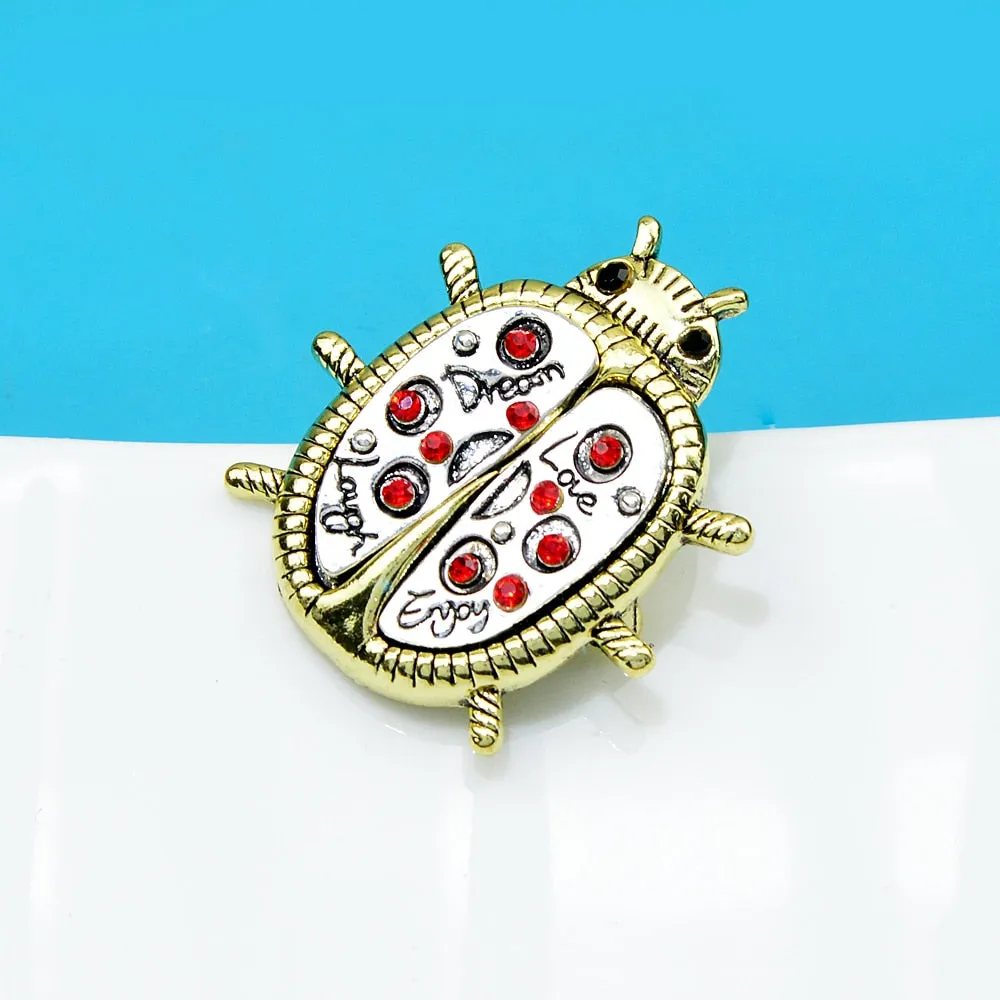 Everyday Love Dream Laugh Ladybug Brooch
