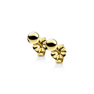 Titanium Ball Stud Earrings